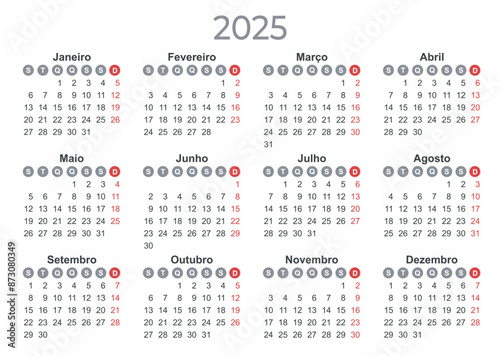 Calendar 2025 Year mockup. Portuguese version. Annual horizontal template with round days of the week. Modern design. Editable format. EPS10.