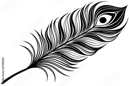 peacock feather black silhouette vector white background