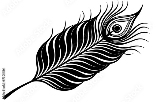 peacock feather black silhouette vector white background