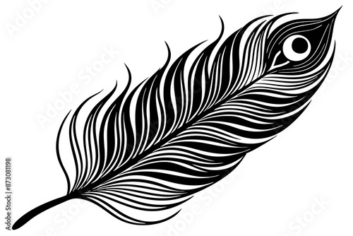 peacock feather black silhouette vector white background