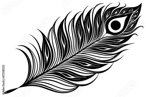 peacock feather black silhouette vector white background