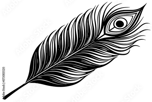 minimalistic black and white peacock feather