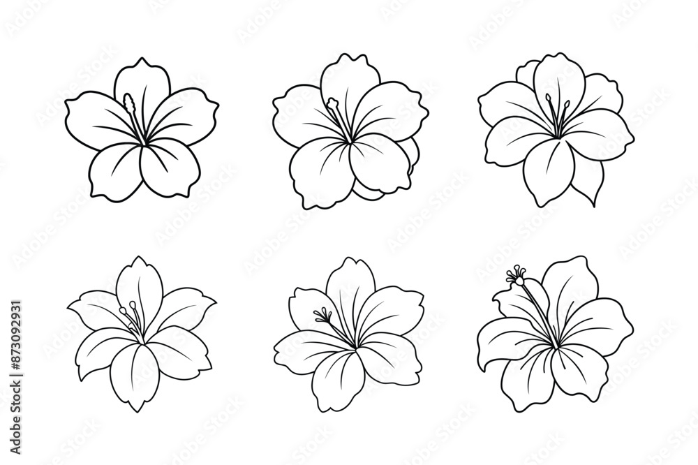 Obraz premium flower eps bundle