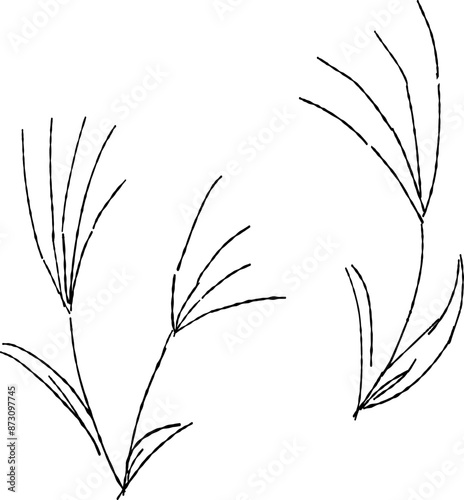線画のすすきの手描きイラストセット