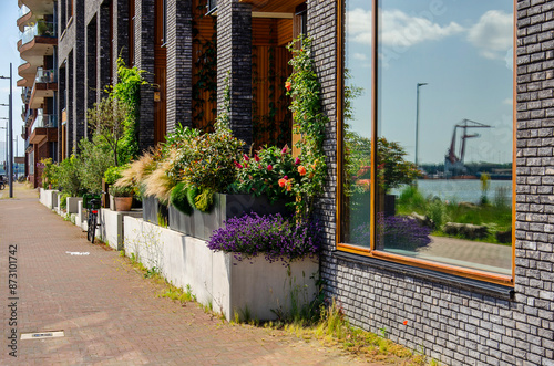 Rotterdam, The Netherlands, June 19, 2024: lush vegetation in the sidewalk gardens of a new neighbourhood at Lloyd Pier, with a relfection on the river and harbour in a window photo