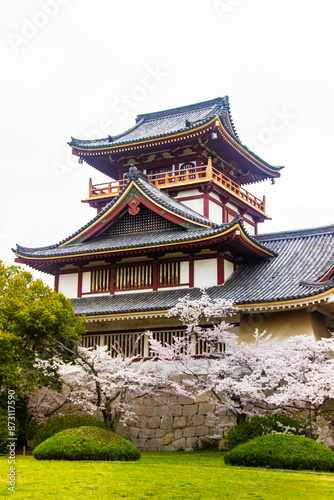 Traditional Japanese samurai castle surrounded by blooming cherry blossom trees Kyoto Japan