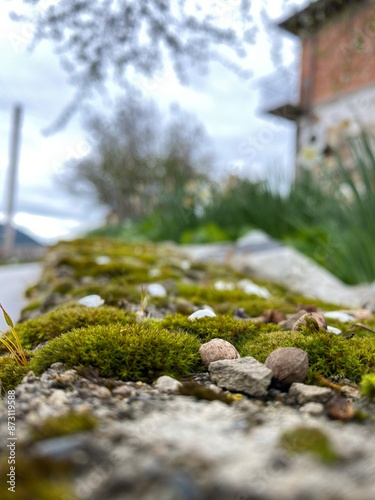 old stone wall with moss