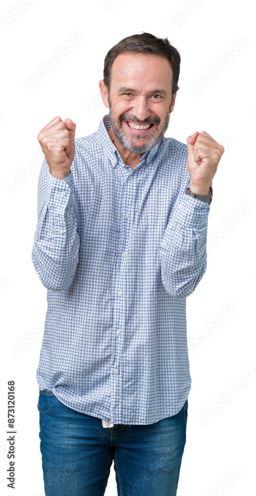 Handsome middle age elegant senior man over isolated background celebrating surprised and amazed for success with arms raised and open eyes. Winner concept. Handsome middle age elegant senior man over isolated background celebrating surprised and amazed for success with arms raised and open eyes. Winner concept.