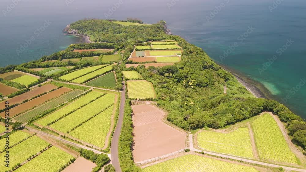 ドローンで撮影した日本の海と田園風景
