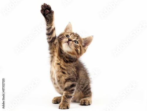 Curious Kitten with Raised Paw. Generative AI.
