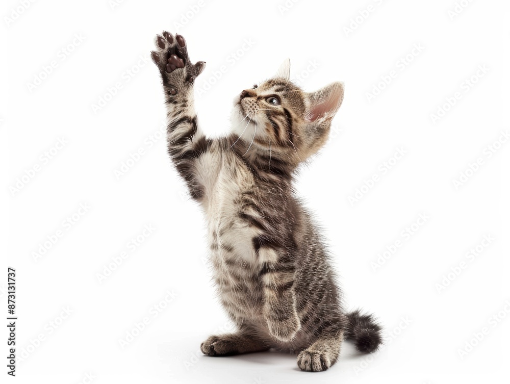 Playful Tabby Kitten Raising Paw. Generative AI. Playful Tabby Kitten Raising Paw. Generative AI.