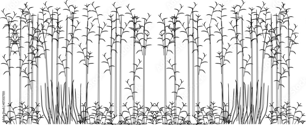 Vector silhouette illustration sketch, detailed design of a collection of ornamental tree plants with lots of leaves and twigs in the garden Vector silhouette illustration sketch, detailed design of a collection of ornamental tree plants with lots of leaves and twigs in the garden