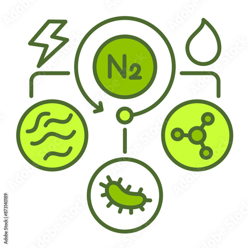 29-Denitrification.svg