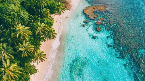 Tropical Paradise: Aerial View of a Pristine Beach