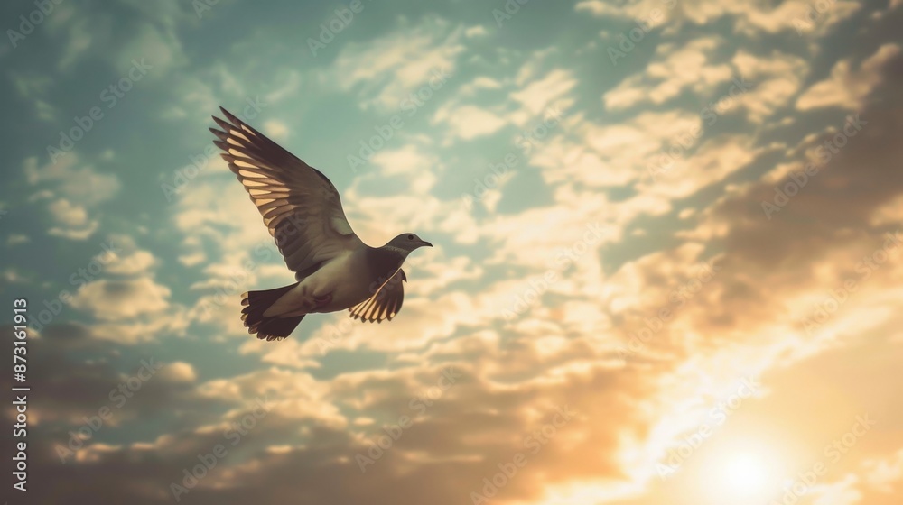 Obraz premium A lone dove glides gracefully through a sky filled with vibrant golden clouds at sunset