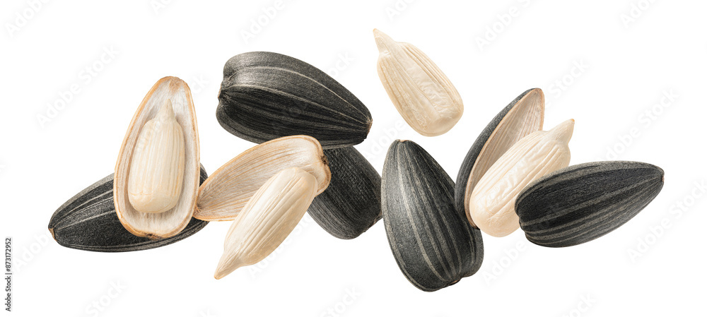 Flying and falling sunflower seeds isolated on white background. Long horizontal layout