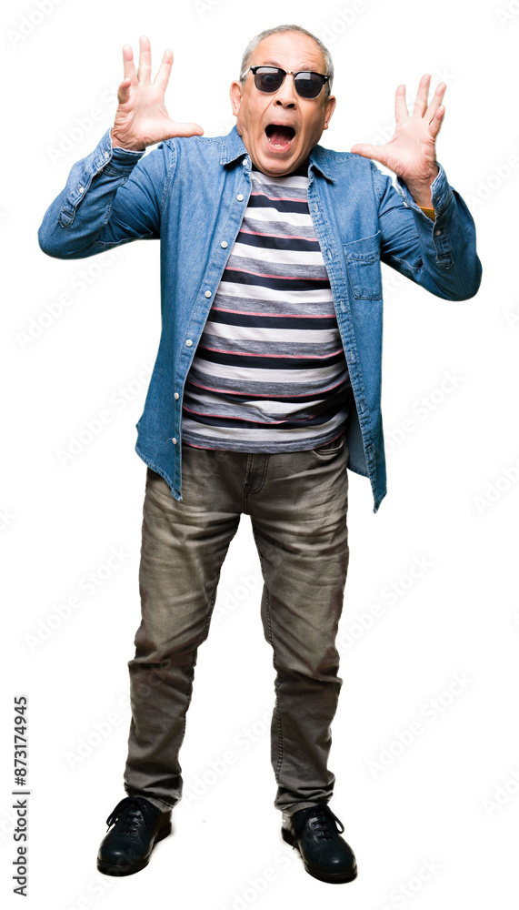 Handsome senior man wearing denim jacket and sunglasses celebrating crazy and amazed for success with arms raised and open eyes screaming excited. Winner concept Handsome senior man wearing denim jacket and sunglasses celebrating crazy and amazed for success with arms raised and open eyes screaming excited. Winner concept