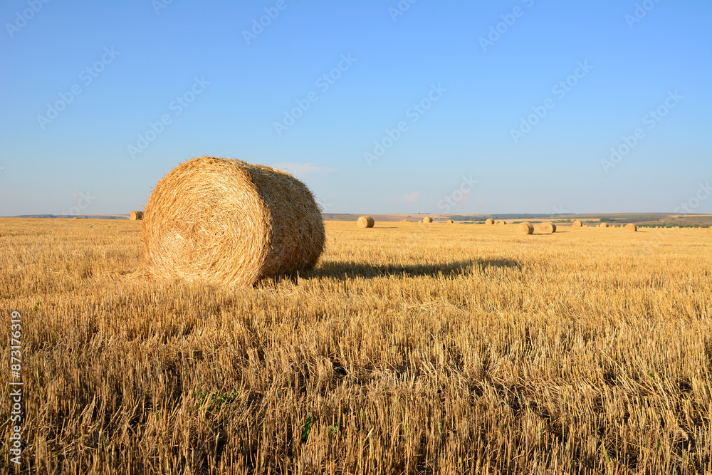 a large hay bale on the field with a blue sky in the background a large hay bale on the field with a blue sky in the background