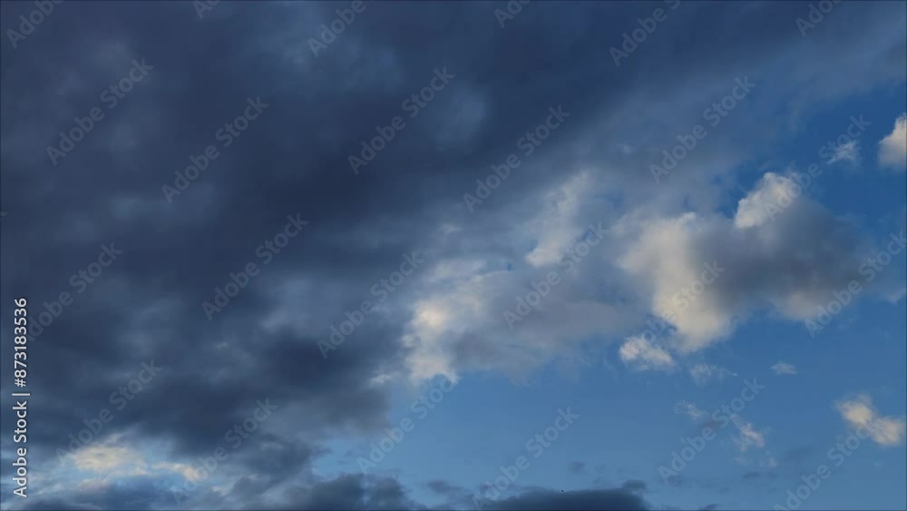 Birds flying well through the sky curious at twilight Birds flying well through the sky curious at twilight