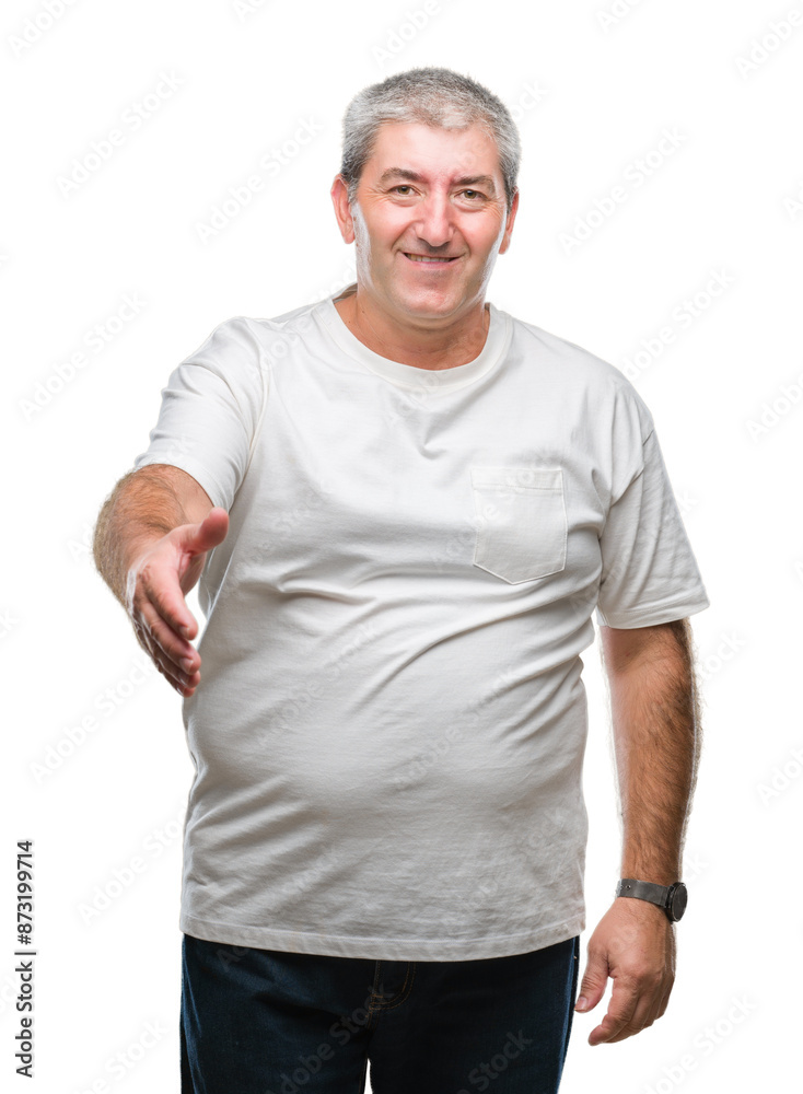 Handsome senior man over isolated background smiling friendly offering handshake as greeting and welcoming. Successful business. Handsome senior man over isolated background smiling friendly offering handshake as greeting and welcoming. Successful business.