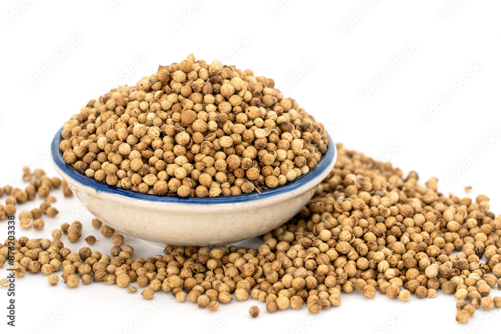 Raw materials and herbs for spices. pile of dried coriander seeds and in a ceramic plate isolated on white background. Raw materials and herbs for spices. pile of dried coriander seeds and in a ceramic plate isolated on white background.