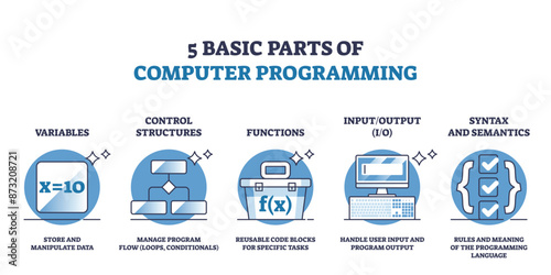 5 basic parts of computer programming and script coding outline diagram. Labeled educational scheme with variables, control structures, functions, input or output and syntax vector illustration.