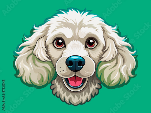 Funny muzzle of purebred dog, white poodle isolated on background. 