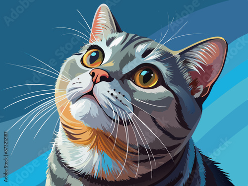 beautiful british shorthair cat looks up.