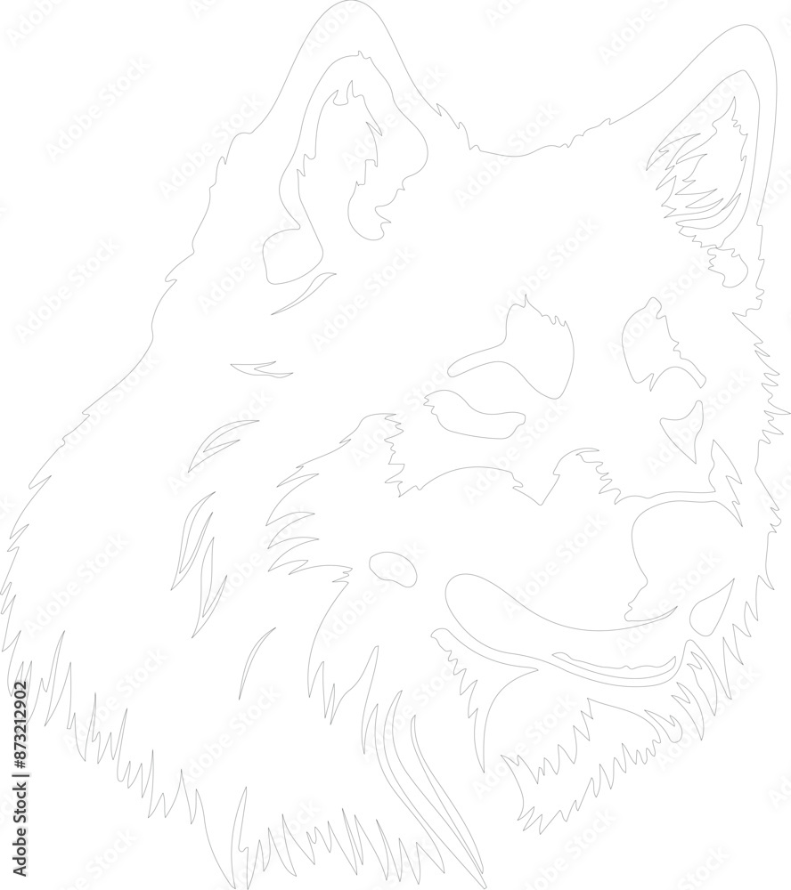 Obraz premium Eskimo Dog outline
