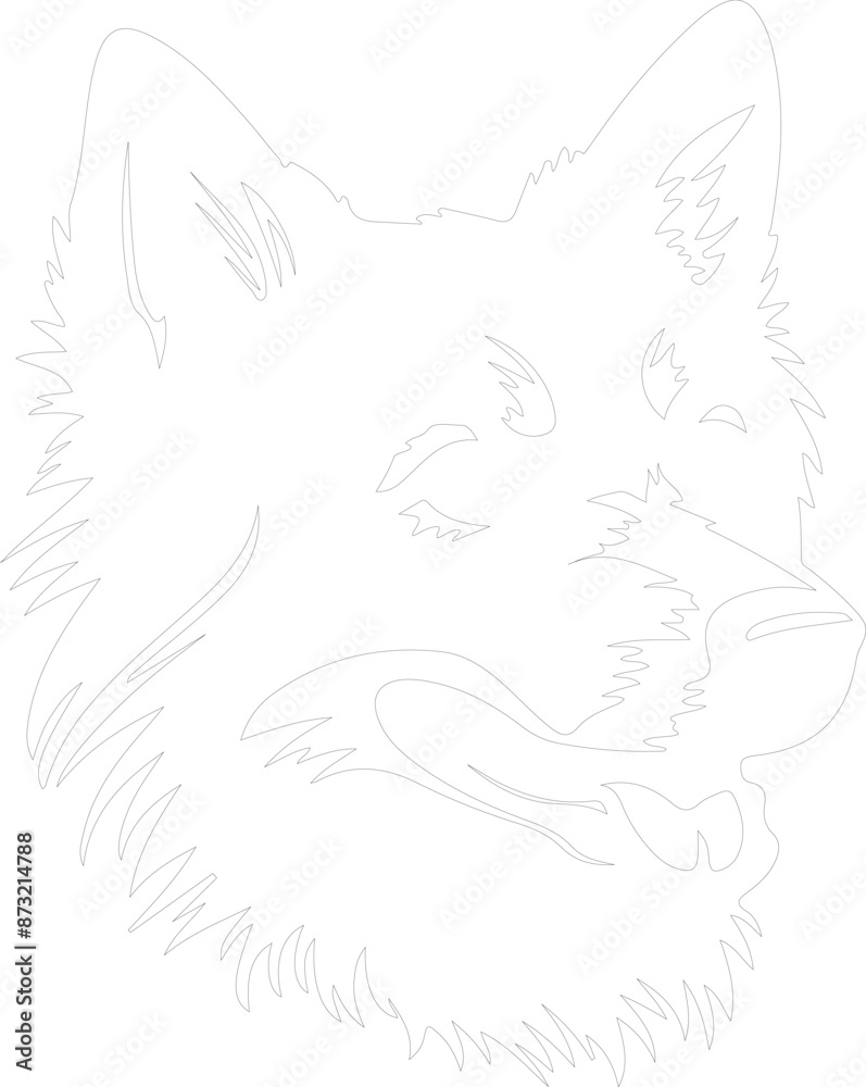 Finnish Spitz outline Finnish Spitz outline