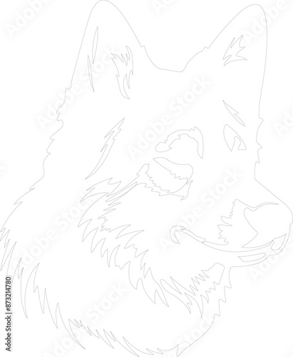 Finnish Spitz outline