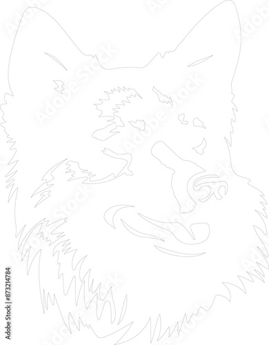 Finnish Spitz outline