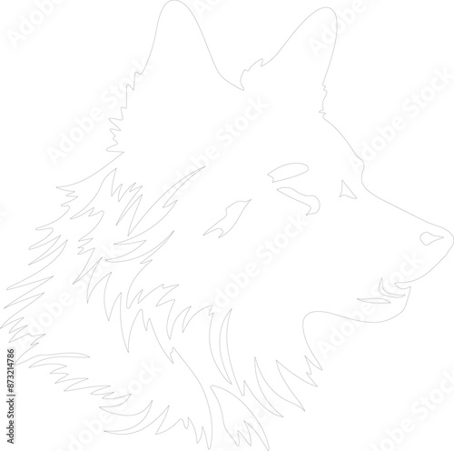 Finnish Spitz outline