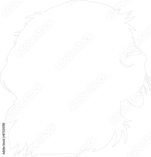 Flat-Coated Retriever outline