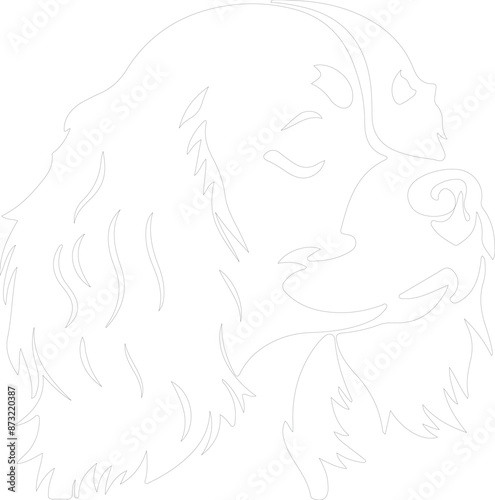 Cavalier King Charles Spaniel outline