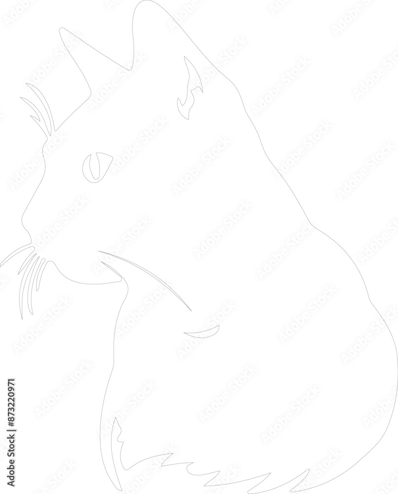 Chartreux Cat outline Chartreux Cat outline