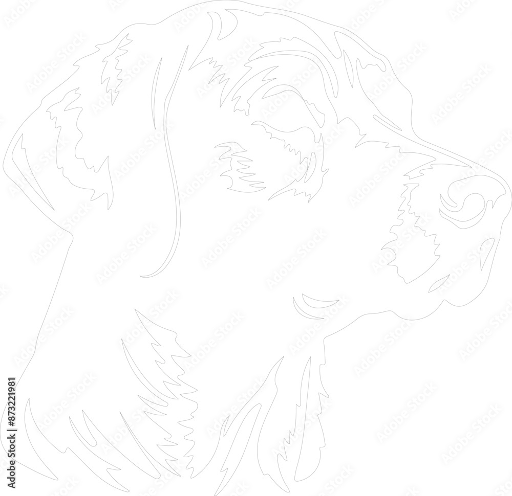 Chesapeake Bay Retriever outline Chesapeake Bay Retriever outline