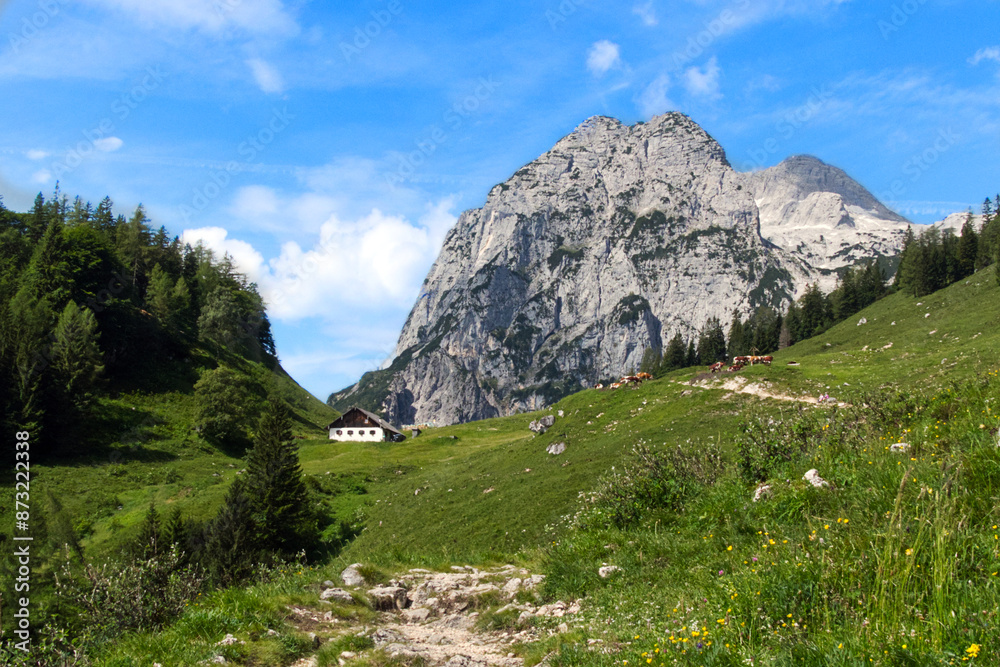Fototapeta premium mountain landscape with high cliffs, a pasture with alpine hut and coniferous forest