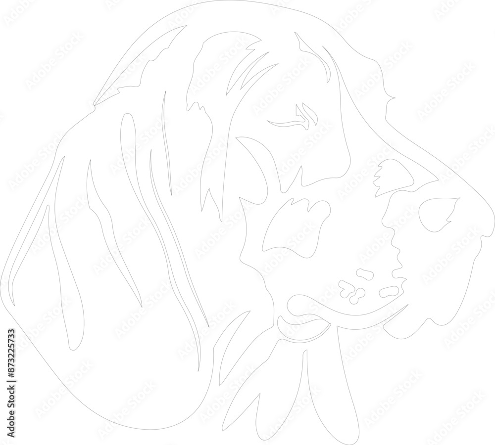 Coonhound outline