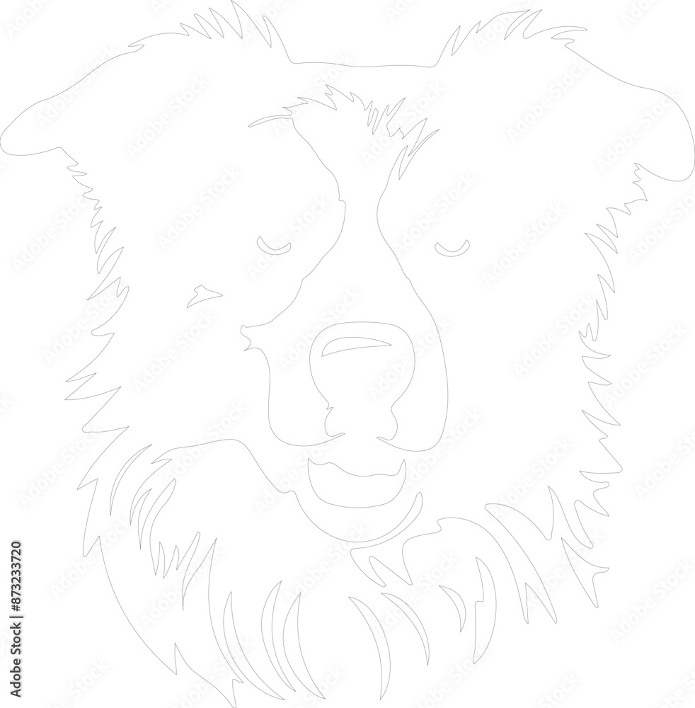 Border Collie outline Border Collie outline
