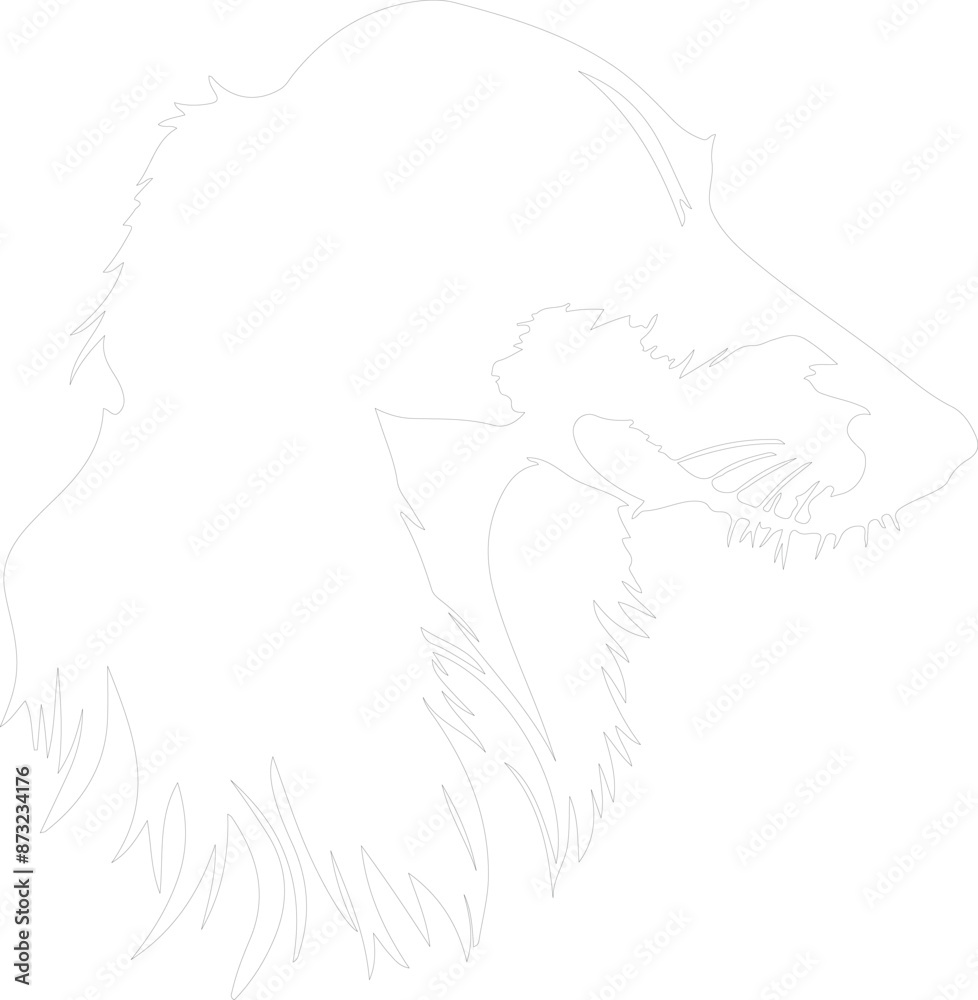 Borzoi outline