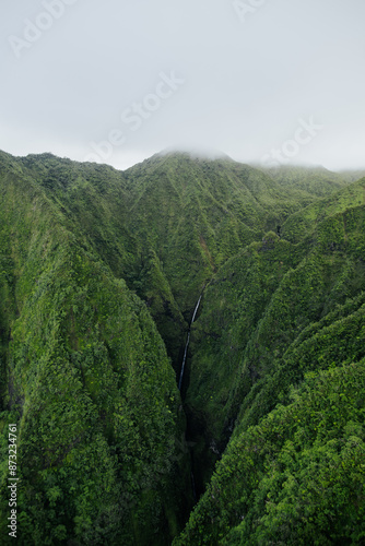 plantation in the mountains