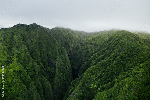 landscape with trees