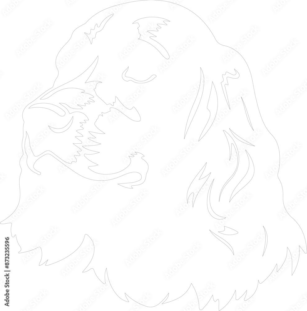 Boykin Spaniel outline Boykin Spaniel outline