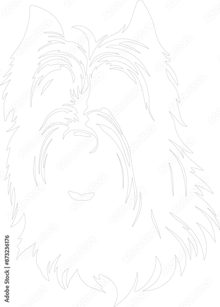Briard outline