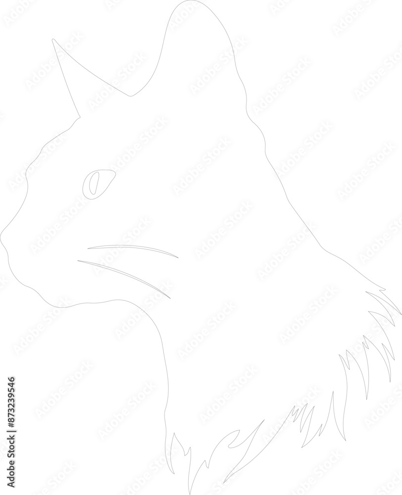 Burmilla Cat outline Burmilla Cat outline