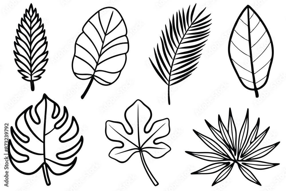 Tropical Leaves Line Art Graceful Illustrative Design Tropical Leaves Line Art Graceful Illustrative Design