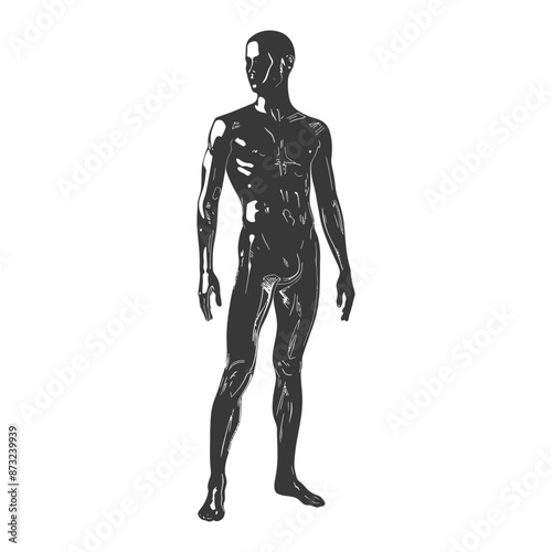Black and white sketch of a muscular male human body in an anatomical pose