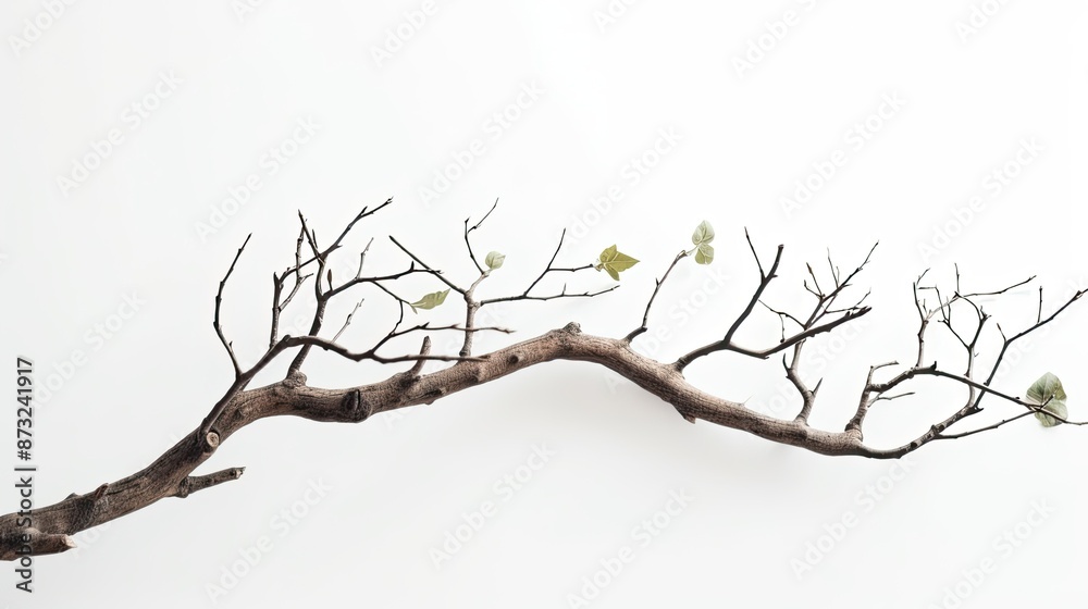 Branch With Small Birds Perched Branch With Small Birds Perched