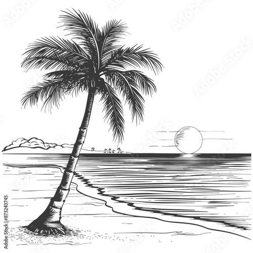 Minimalist black and white line drawing of a palm tree on a beach at sunset